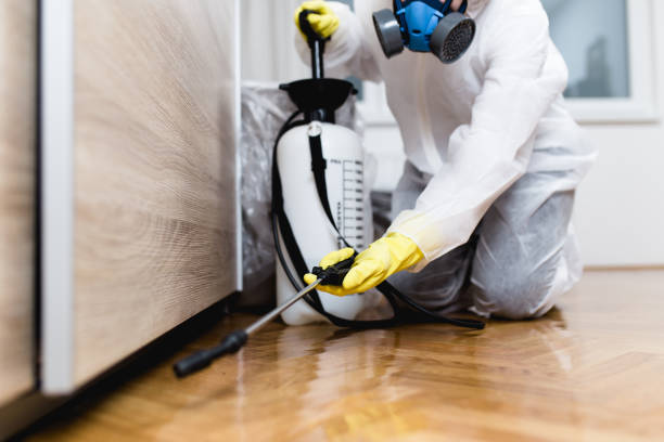 Best Wasp Removal Services  in Mckenzie, TN
