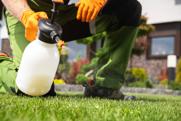 Best Local Pest Control Services  in Mckenzie, TN