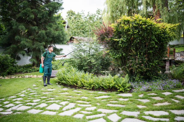 Best Pest Removal Services  in Mckenzie, TN