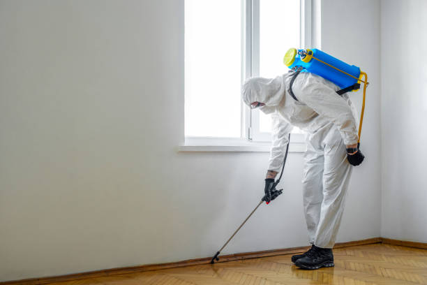 Best Emergency Pest Control  in Mckenzie, TN