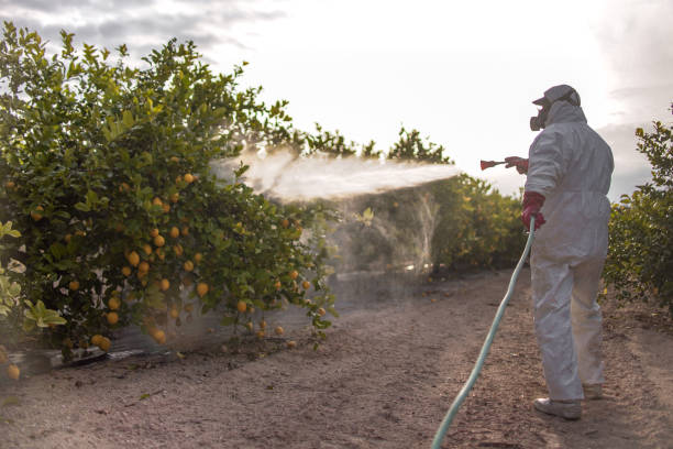 Best Commercial Pest Control Services  in Mckenzie, TN
