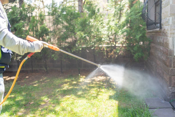 Best Rat Extermination Near Me  in Mckenzie, TN