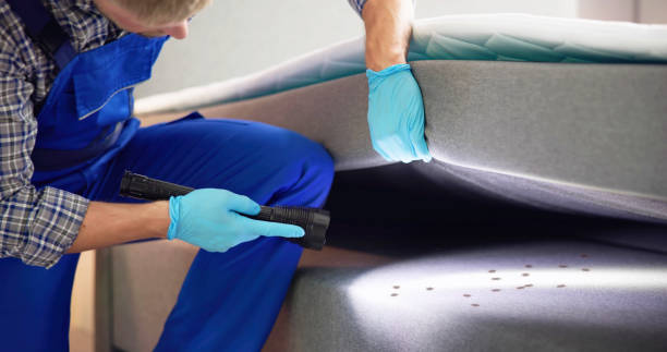 Best Flea Control Services  in Mckenzie, TN