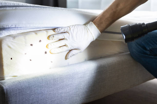 Pest Control for Restaurants in Mckenzie, TN