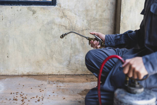 Best Termite Control Services  in Mckenzie, TN
